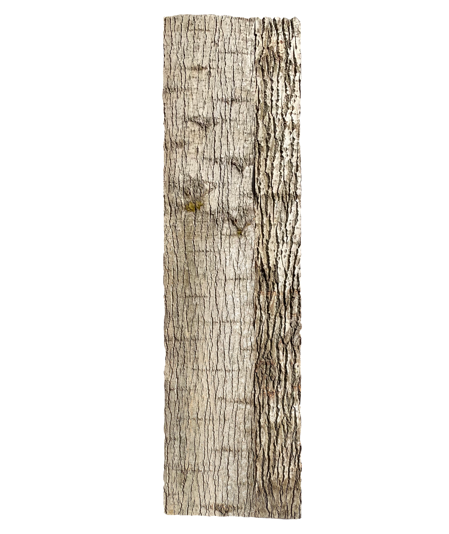 Paneel 16 36 30