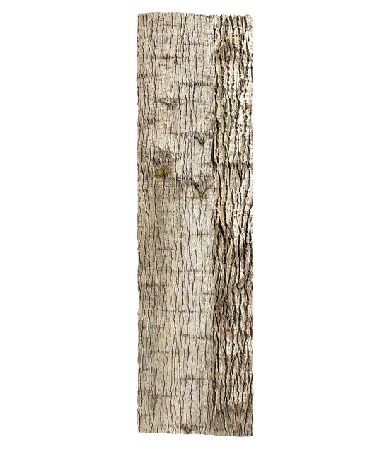 Paneel 16 36 30