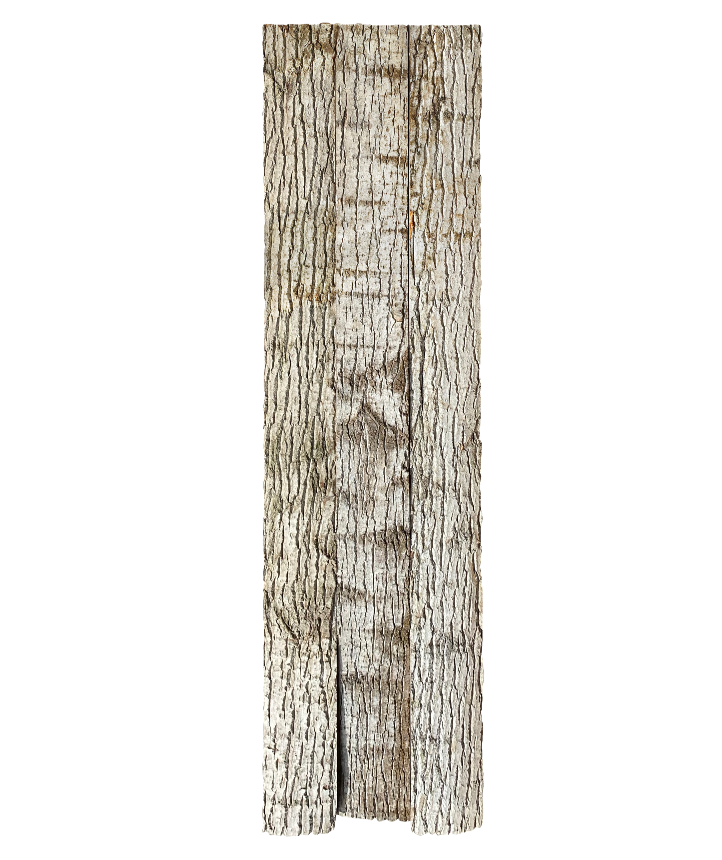 Paneel 16 52 52