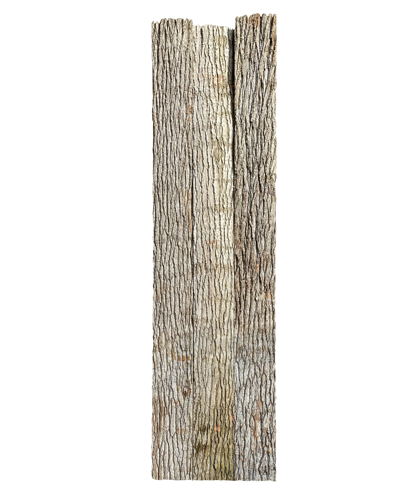 Paneel 16 54 22
