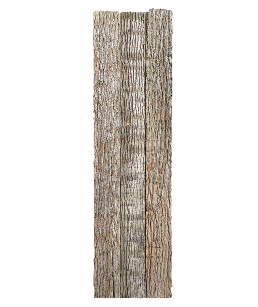 Paneel 16 58 45