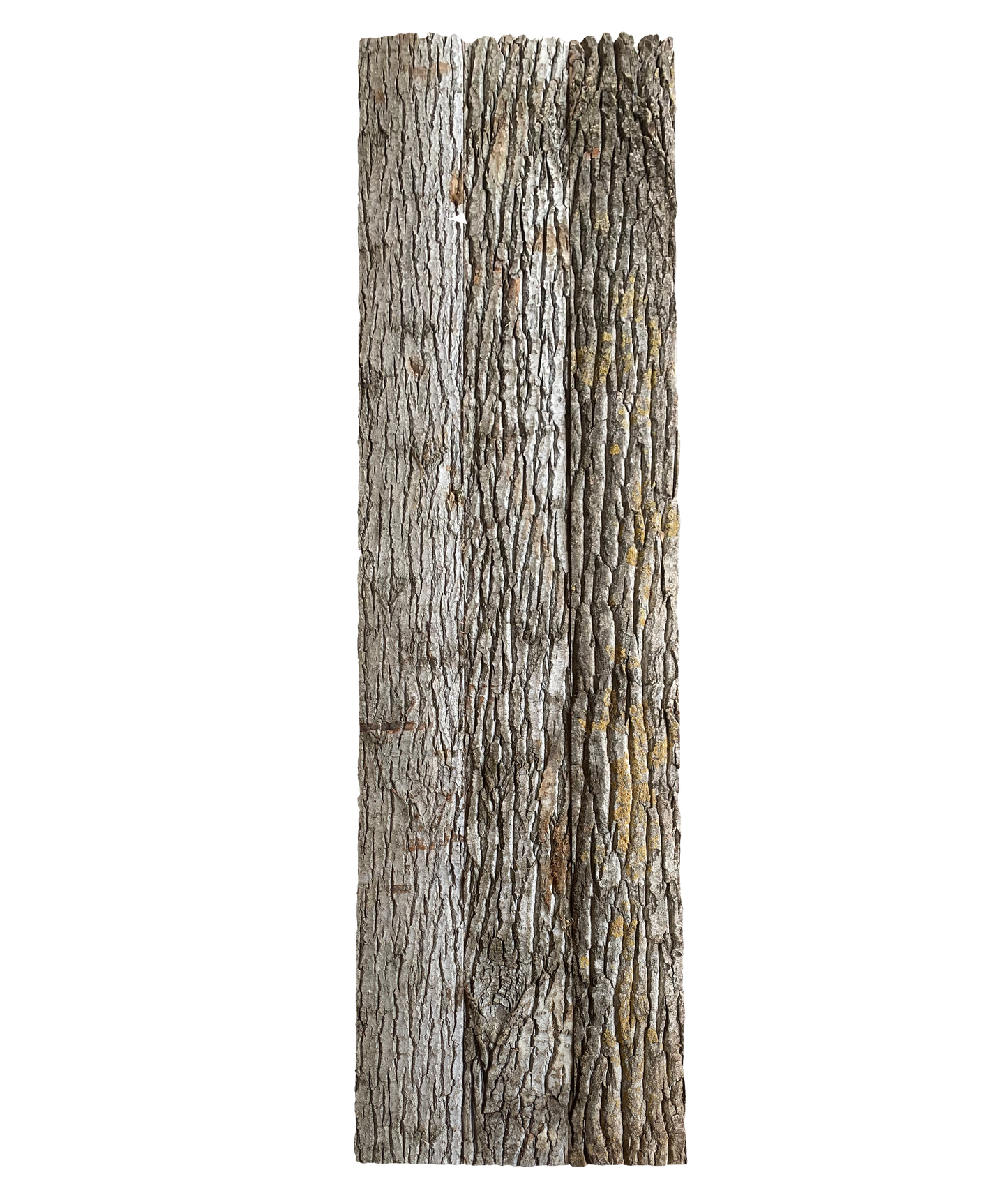 Paneel 07 28 29