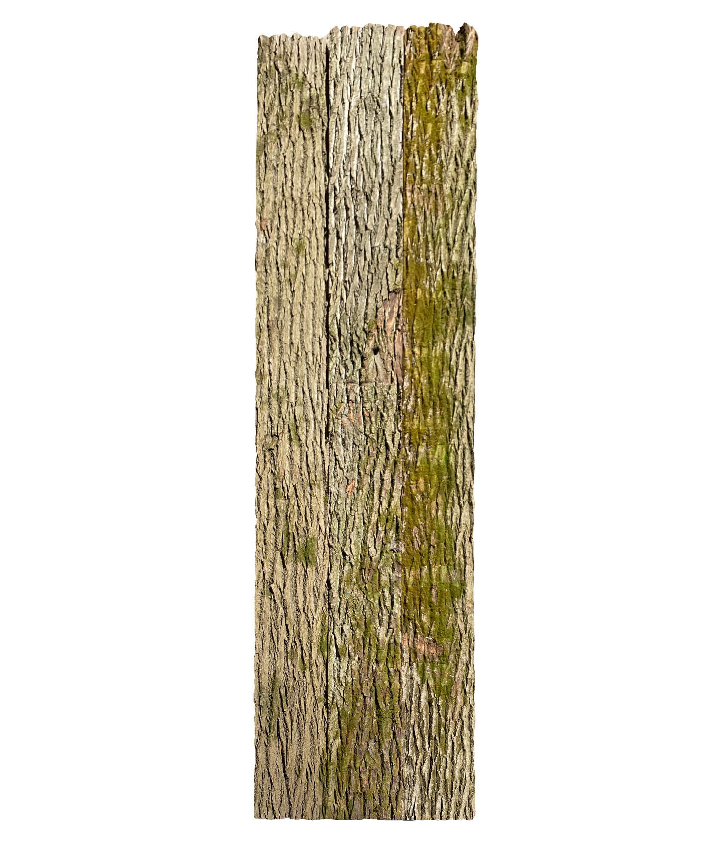 Paneel 15 33 47