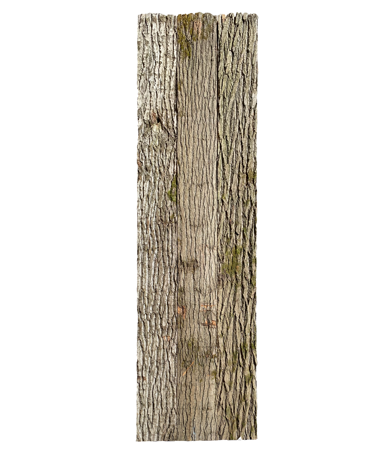 Paneel 15 35 44