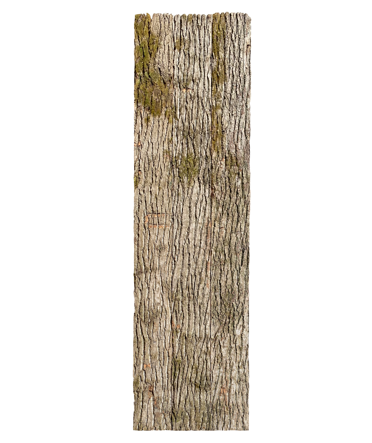 Paneel 15 37 59