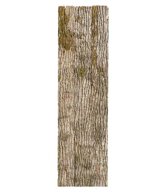 Paneel 15 37 59