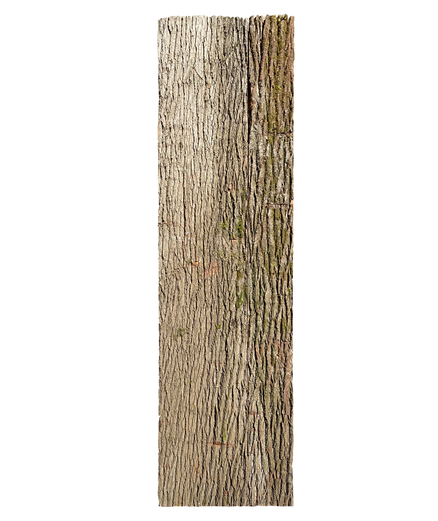 Paneel 15 40 01