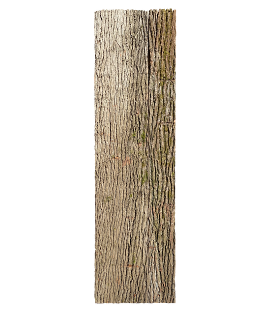 Paneel 15 40 01
