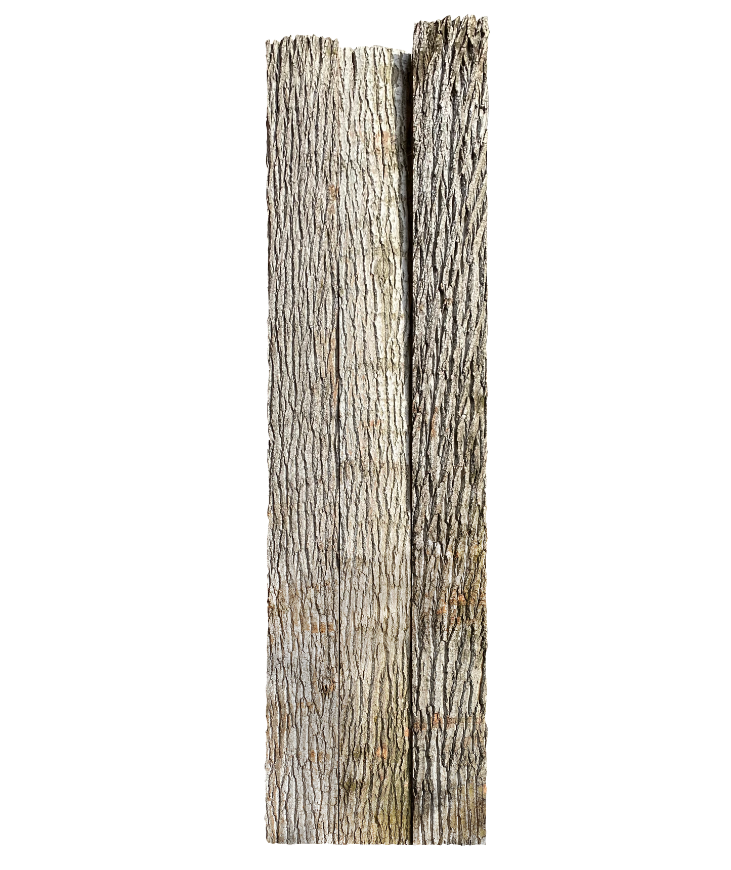 Paneel 16 57 25