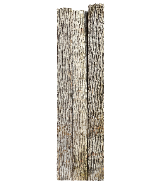 Paneel 16 57 25